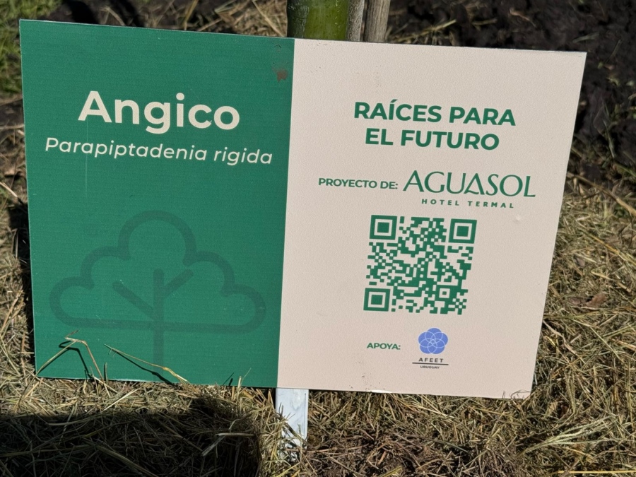 TIERRA_2_-_ARBOL_ANGICO_ab759.jpg