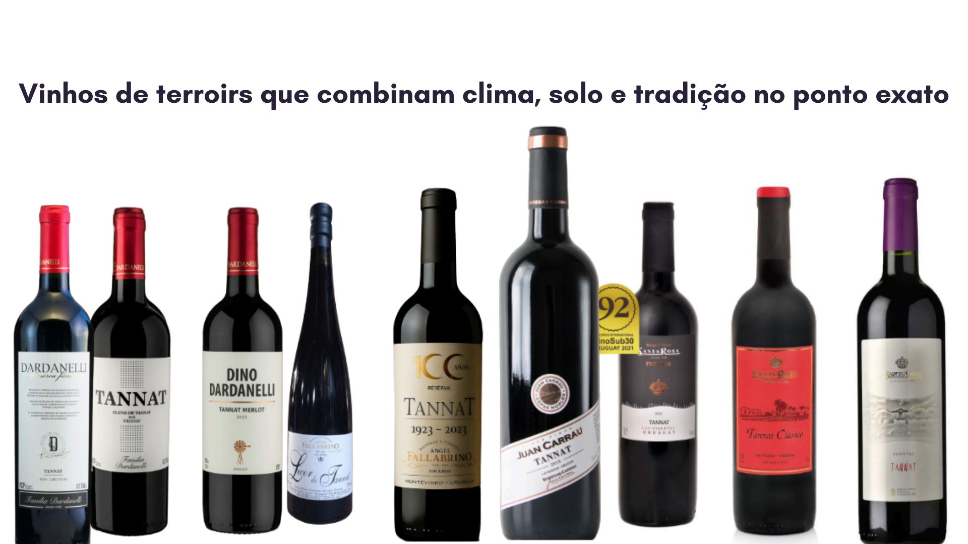 quesos_y_vinos_55071.jpg