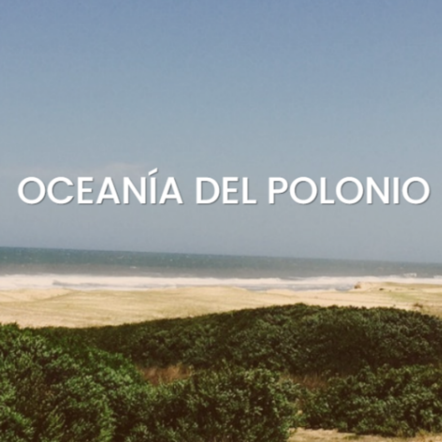 rocha_5_14443.png