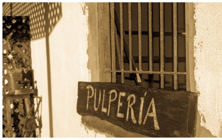 Inaugura Pulper&iacute;a El Parral en posada de campo Casa Abierta de Dolores