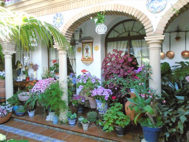 Los Patios de C&oacute;rdoba, una explosi&oacute;n de flores