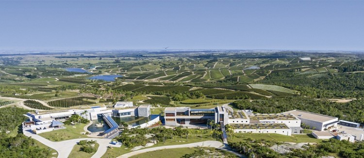 Forbes dedica en julio dos art&iacute;culos a Bodega Garz&oacute;n