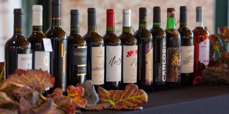 Bodegas de Colonia seleccionada por ANDE para fortalecer su trabajo como red empresarial