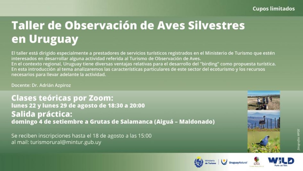 Taller de observación de aves silvestres en Uruguay