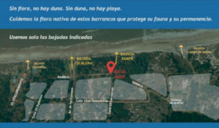 Paseo de Flora y Fauna Nativa + Bajada accesible + Mirador - Guazuvir&aacute; 2020