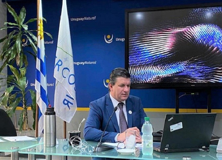 Director General del MINTUR particip&oacute; de videoconferencia organizada por CAF