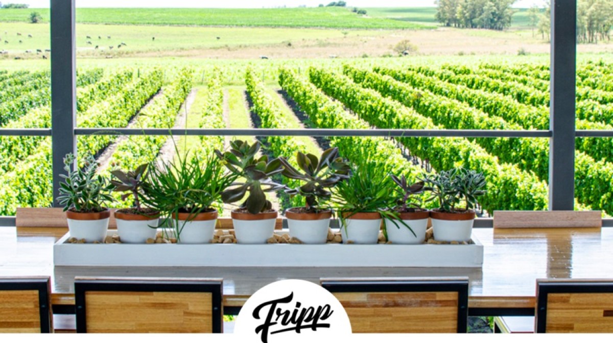 La Bodega Fripp es referente en Conchillas